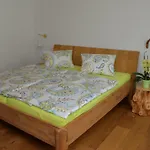 Gasthof Gästezimmer Buchegger Krumbach (Lower Austria)