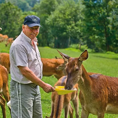 Zajazd Gaestezimmer Buchegger Krumbach (Lower Austria)