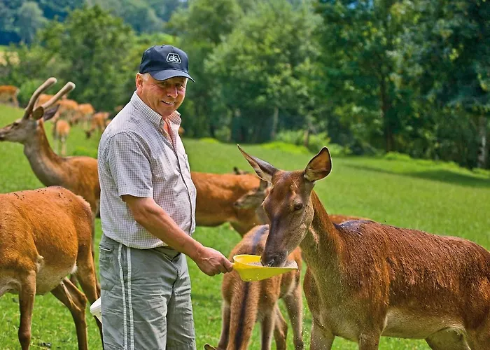 Locanda Gaestezimmer Buchegger Krumbach (Lower Austria)